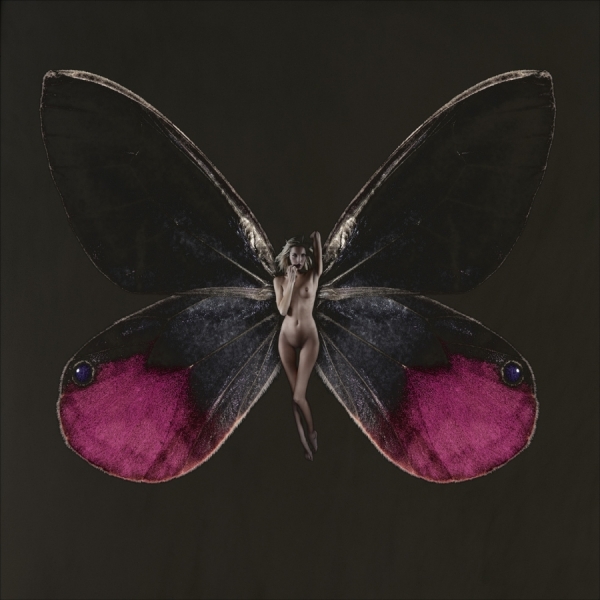 Photograph Carsten Witte Papiliocourtney 1 on One Eyeland